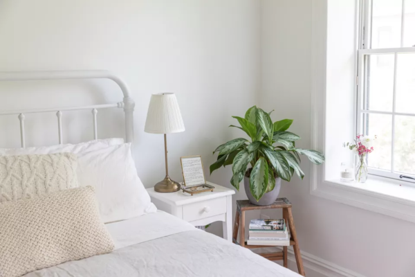 Sunlit room corner with plant, mat and calm tones for a home routine